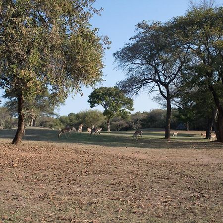 Kruger Park Lodge Unit 245 Hazyview Esterno foto